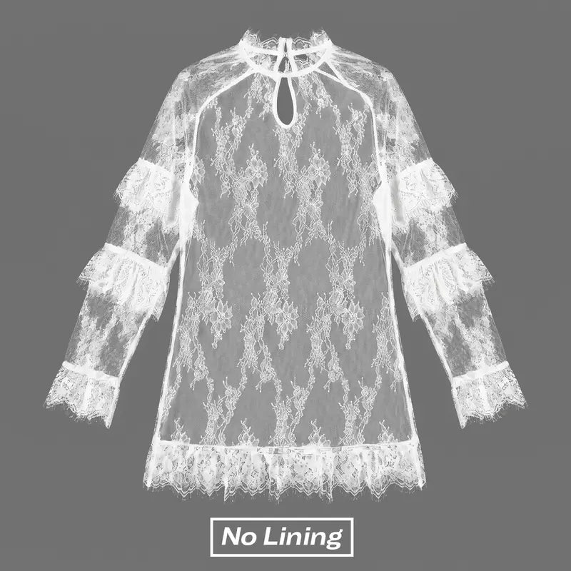 Chicovar  NO Lining! Women's Sheer Lace Dress, See Through, Unlined, Long Sleeve, Crew Neck, Elegant Night Out Mini Dress, Concert, Party, sohochic