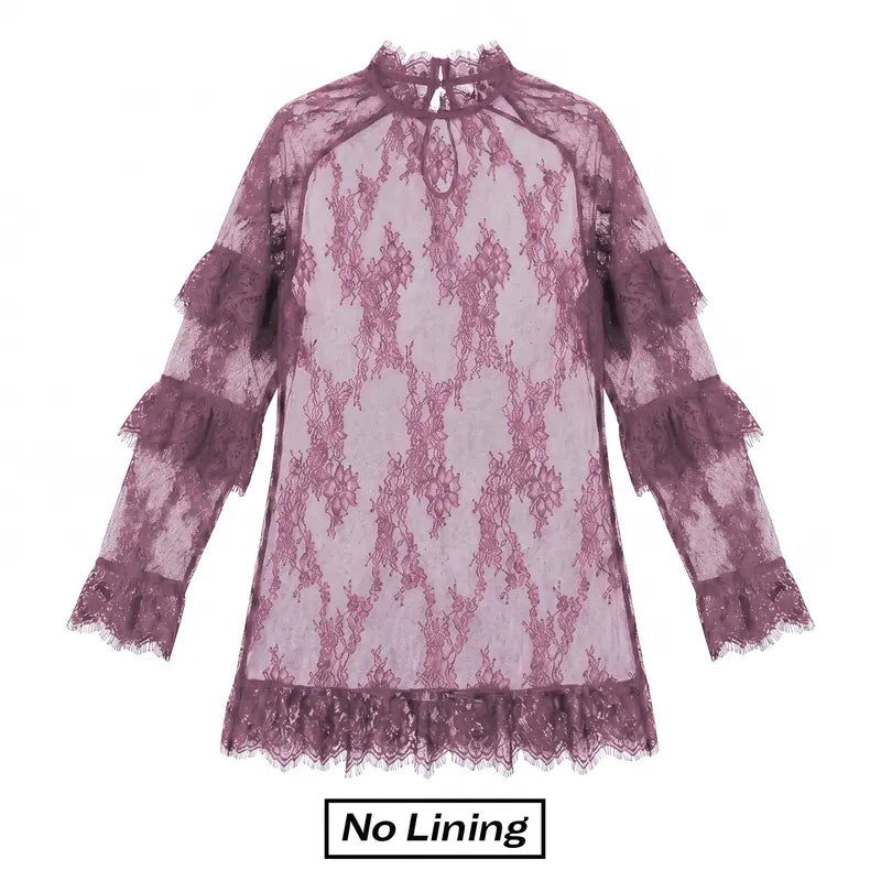 Chicovar  NO Lining! Women's Sheer Lace Dress, See Through, Unlined, Long Sleeve, Crew Neck, Elegant Night Out Mini Dress, Concert, Party, sohochic